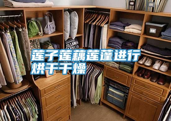 亚洲乱码一区二区三区 莲子莲藕莲蓬进行烘干干燥