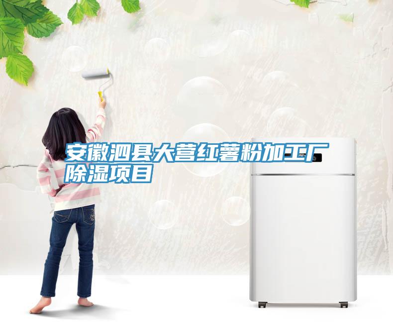 亚洲人成综合第一网站 安徽泗县大营红薯粉加工厂除湿项目