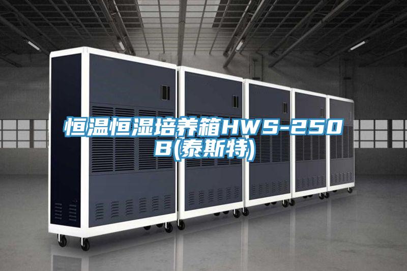 亚洲欧美一级特黄大片 恒温恒湿培养箱HWS-250B(泰斯特)