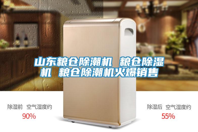 亚洲乱码一区二区三区 山东粮仓除潮机 粮仓除湿机 粮仓除潮机火爆销售