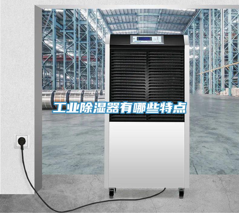 亚洲欧美一级特黄大片 工业除湿器有哪些特点