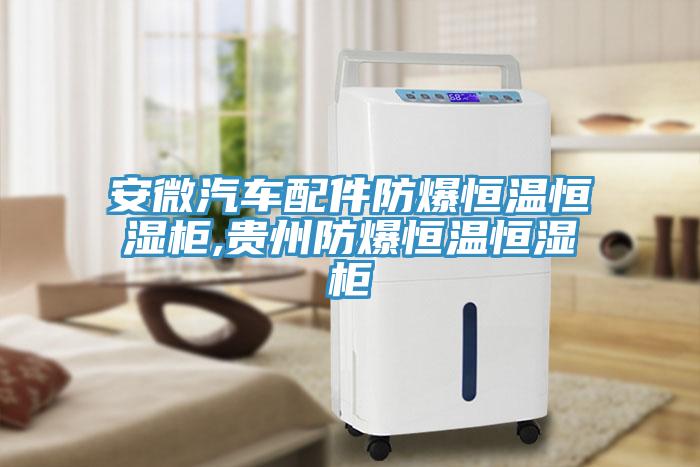 亚洲欧美一级特黄大片 安微汽车配件防爆恒温恒湿柜,贵州防爆恒温恒湿柜