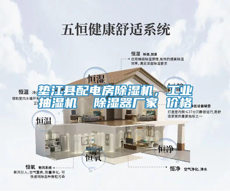 亚洲人成综合第一网站 垫江县配电房除湿机，工业抽湿机  除湿器厂家 价格