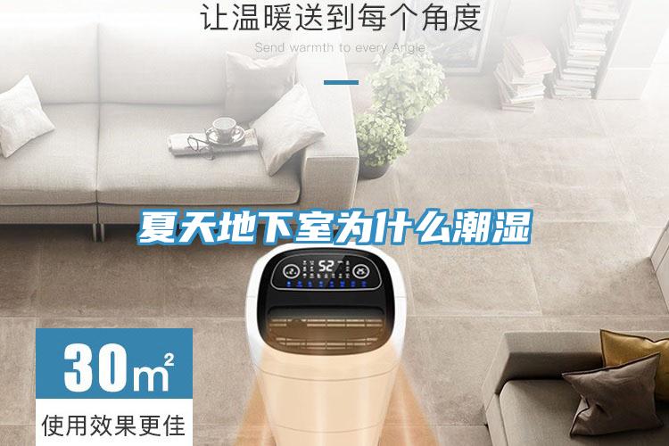 亚洲人成综合第一网站 夏天地下室为什么潮湿