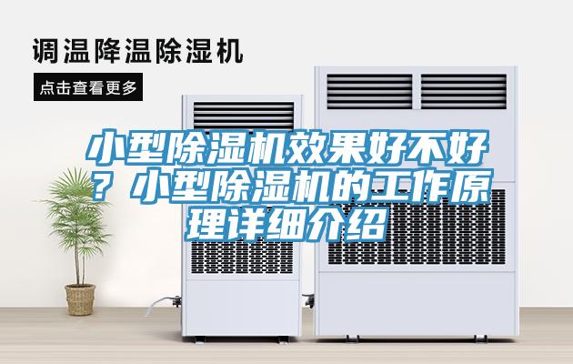 亚洲人成综合第一网站 小型除湿机效果好不好？小型除湿机的工作原理详细介绍