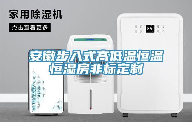 亚洲人成综合第一网站 安徽步入式高低温恒温恒湿房非标定制