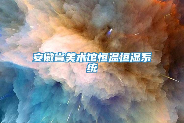 亚洲人成综合第一网站 安徽省美术馆恒温恒湿系统