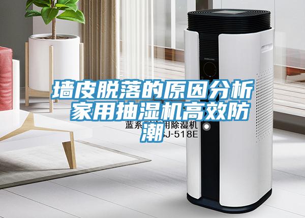 亚洲欧美一级特黄大片 墙皮脱落的原因分析 家用抽湿机高效防潮