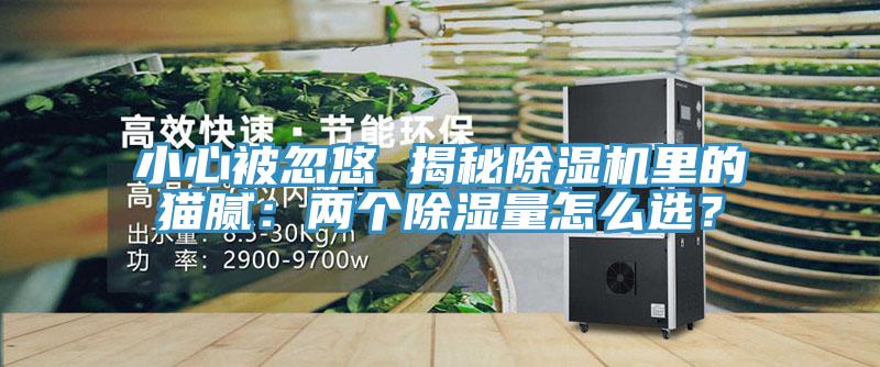 亚洲欧美一级特黄大片 小心被忽悠 揭秘除湿机里的猫腻：两个除湿量怎么选？