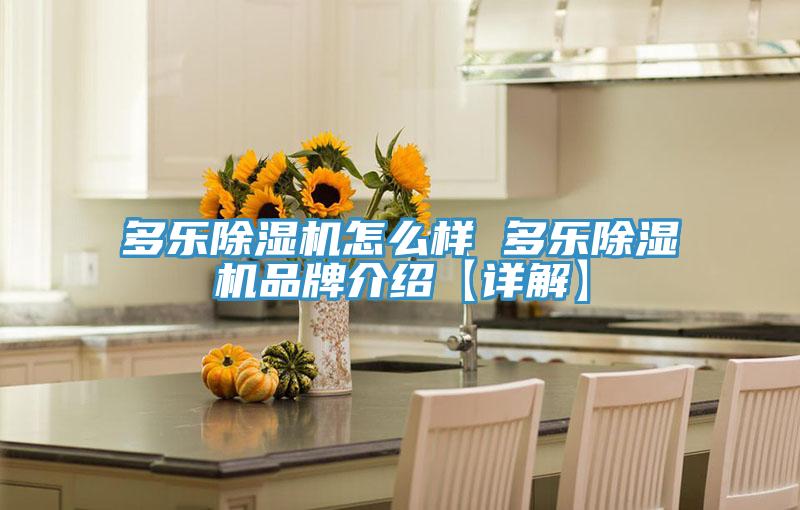 亚洲欧美一级特黄大片 多乐除湿机怎么样 多乐除湿机品牌介绍【详解】