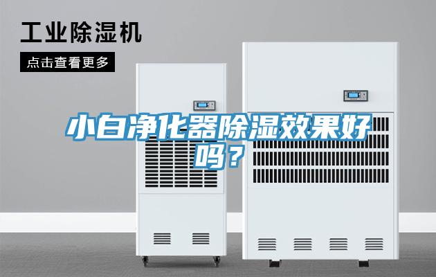 亚洲欧美一级特黄大片 小白净化器除湿效果好吗？