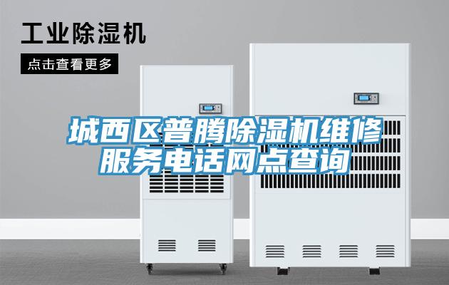亚洲人成综合第一网站 城西区普腾除湿机维修服务电话网点查询
