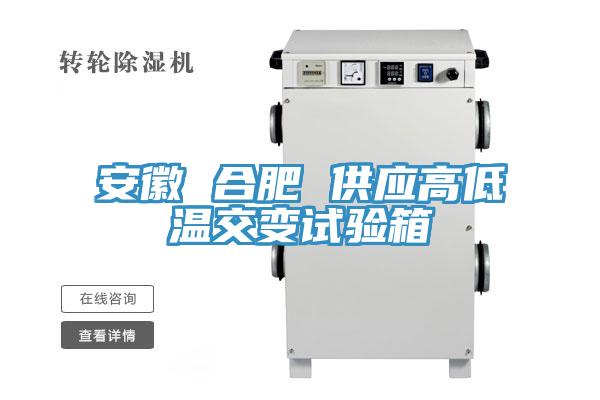 亚洲人成综合第一网站 安徽 合肥 供应高低温交变试验箱