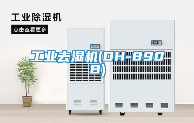 亚洲乱码一区二区三区 工业去湿机(DH-890B)