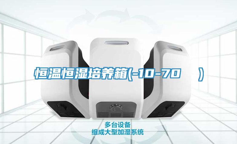 亚洲人成综合第一网站 恒温恒湿培养箱(-10-70 ℃）