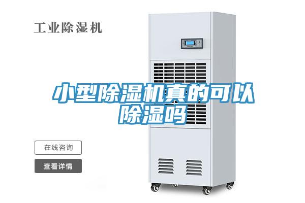亚洲乱码一区二区三区 小型除湿机真的可以除湿吗