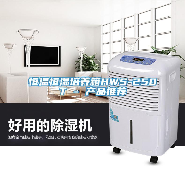 亚洲人成综合第一网站 恒温恒湿培养箱HWS-250T - 产品推荐