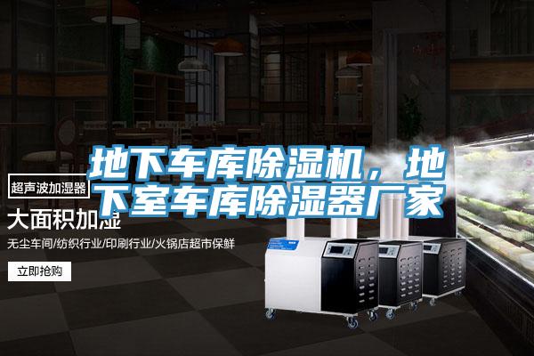 亚洲欧美一级特黄大片 地下车库除湿机，地下室车库除湿器厂家