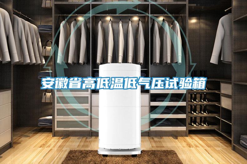 亚洲欧美一级特黄大片 安徽省高低温低气压试验箱