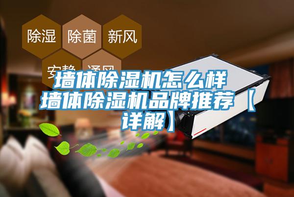 亚洲欧美一级特黄大片 墙体除湿机怎么样 墙体除湿机品牌推荐【详解】
