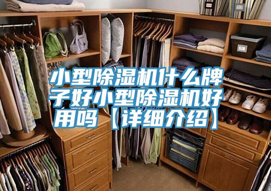 亚洲人成综合第一网站 小型除湿机什么牌子好小型除湿机好用吗【详细介绍】