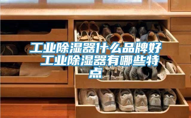 亚洲欧美一级特黄大片 工业除湿器什么品牌好 工业除湿器有哪些特点