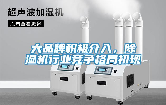 亚洲乱码一区二区三区 大品牌积极介入，除湿机行业竞争格局初现