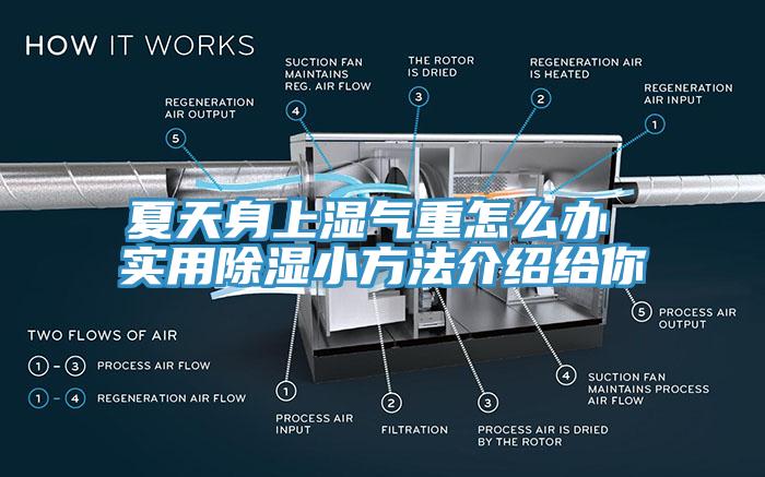 亚洲人成综合第一网站 夏天身上湿气重怎么办 实用除湿小方法介绍给你