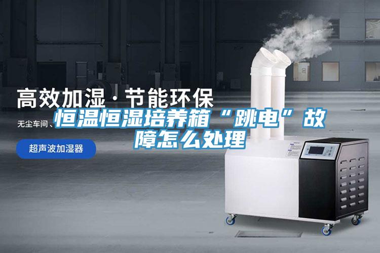 亚洲乱码一区二区三区 恒温恒湿培养箱“跳电”故障怎么处理