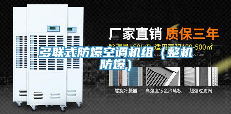 亚洲人成综合第一网站 多联式防爆空调机组（整机防爆）