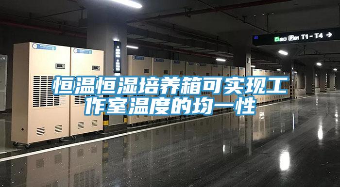 亚洲人成综合第一网站 恒温恒湿培养箱可实现工作室温度的均一性