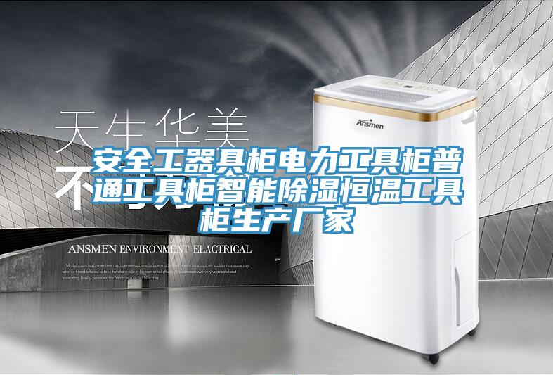 亚洲人成综合第一网站 安全工器具柜电力工具柜普通工具柜智能除湿恒温工具柜生产厂家