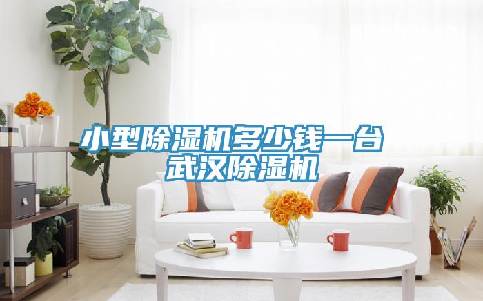 亚洲人成综合第一网站 小型除湿机多少钱一台 武汉除湿机