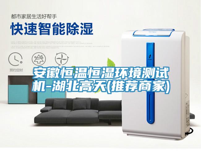 亚洲人成综合第一网站 安徽恒温恒湿环境测试机-湖北高天(推荐商家)