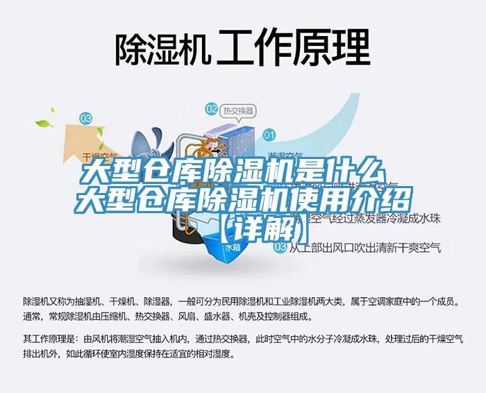 亚洲人成综合第一网站 大型仓库除湿机是什么 大型仓库除湿机使用介绍【详解】