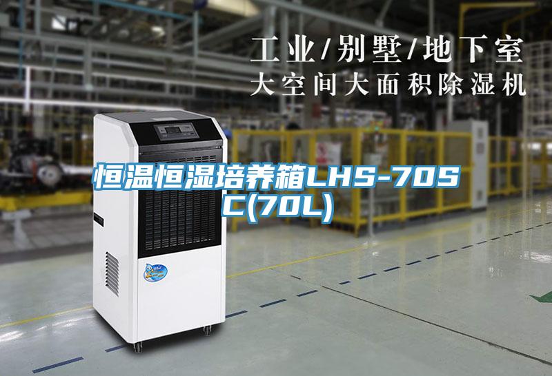 亚洲人成综合第一网站 恒温恒湿培养箱LHS-70SC(70L)