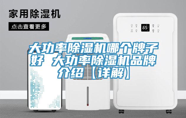 亚洲欧美一级特黄大片 大功率除湿机哪个牌子好 大功率除湿机品牌介绍【详解】