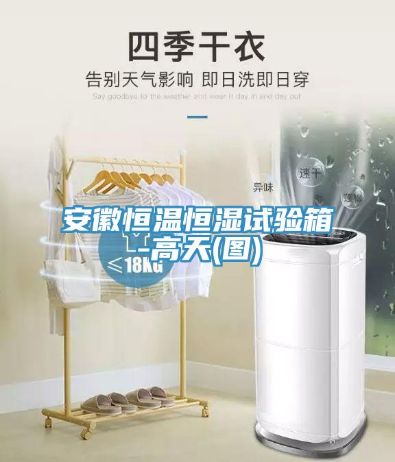 亚洲乱码一区二区三区 安徽恒温恒湿试验箱-高天(图)