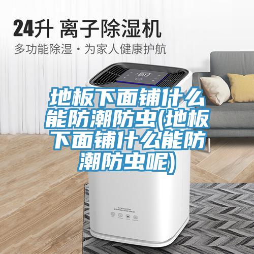 亚洲乱码一区二区三区 地板下面铺什么能防潮防虫(地板下面铺什么能防潮防虫呢)