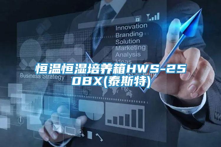 亚洲乱码一区二区三区 恒温恒湿培养箱HWS-250BX(泰斯特)
