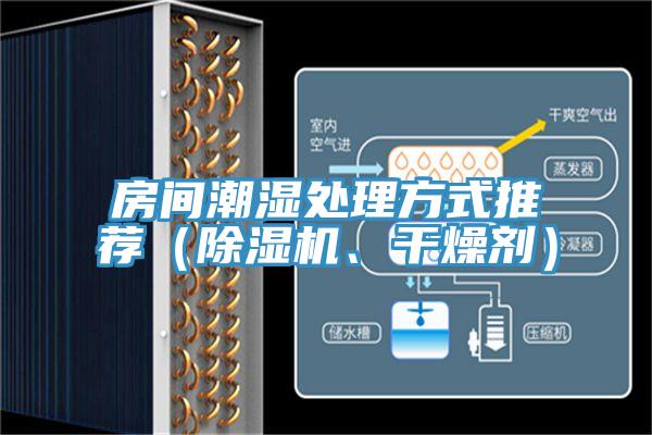亚洲人成综合第一网站 房间潮湿处理方式推荐（除湿机、干燥剂）
