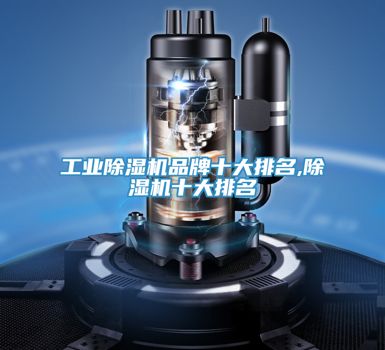 亚洲人成综合第一网站 工业除湿机品牌十大排名,除湿机十大排名