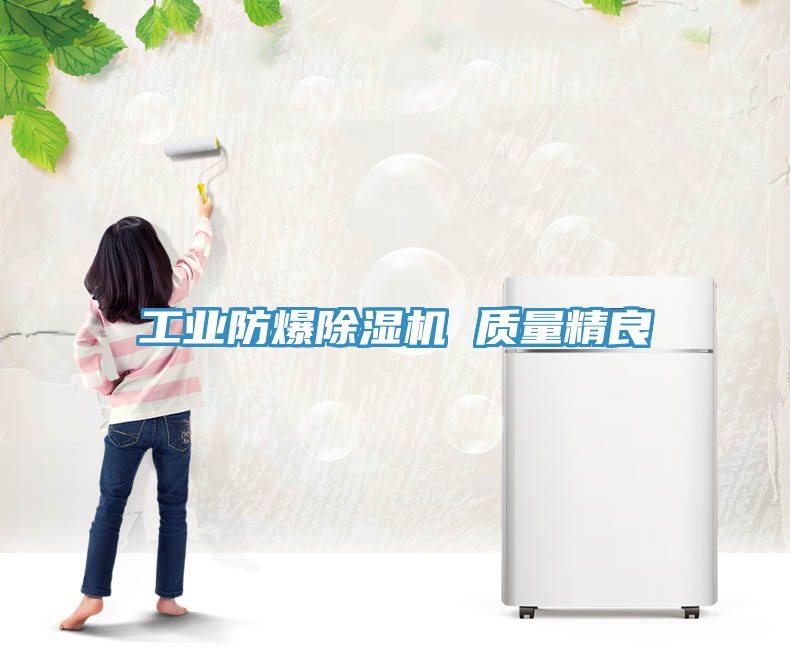 亚洲乱码一区二区三区 工业防爆除湿机 质量精良