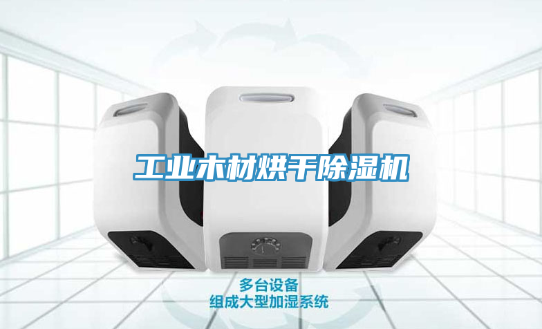 亚洲人成综合第一网站 工业木材烘干除湿机