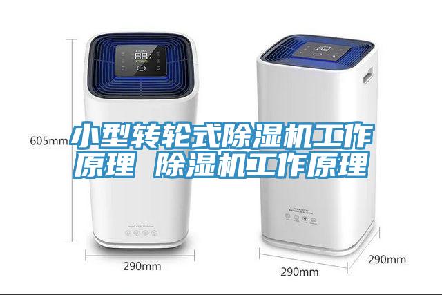 亚洲人成综合第一网站 小型转轮式除湿机工作原理 除湿机工作原理