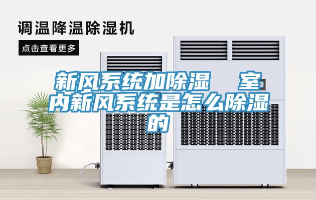 亚洲人成综合第一网站 新风系统加除湿  室内新风系统是怎么除湿的