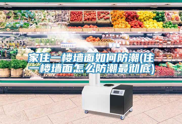亚洲欧美一级特黄大片 家住一楼墙面如何防潮(住一楼墙面怎么防潮最彻底)