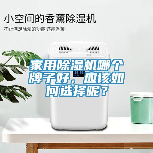亚洲欧美一级特黄大片 家用除湿机哪个牌子好，应该如何选择呢？