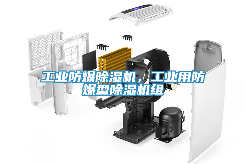 亚洲乱码一区二区三区 工业防爆除湿机，工业用防爆型除湿机组