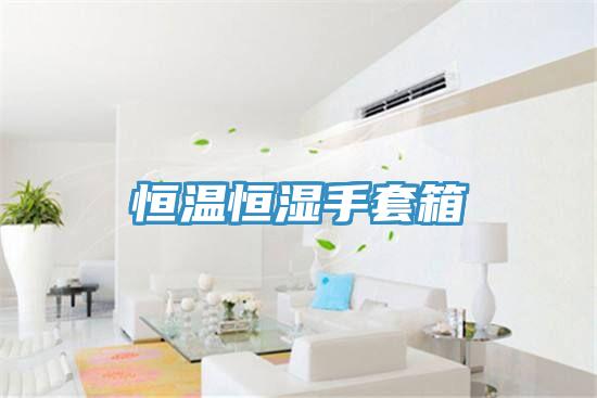 亚洲人成综合第一网站 恒温恒湿手套箱